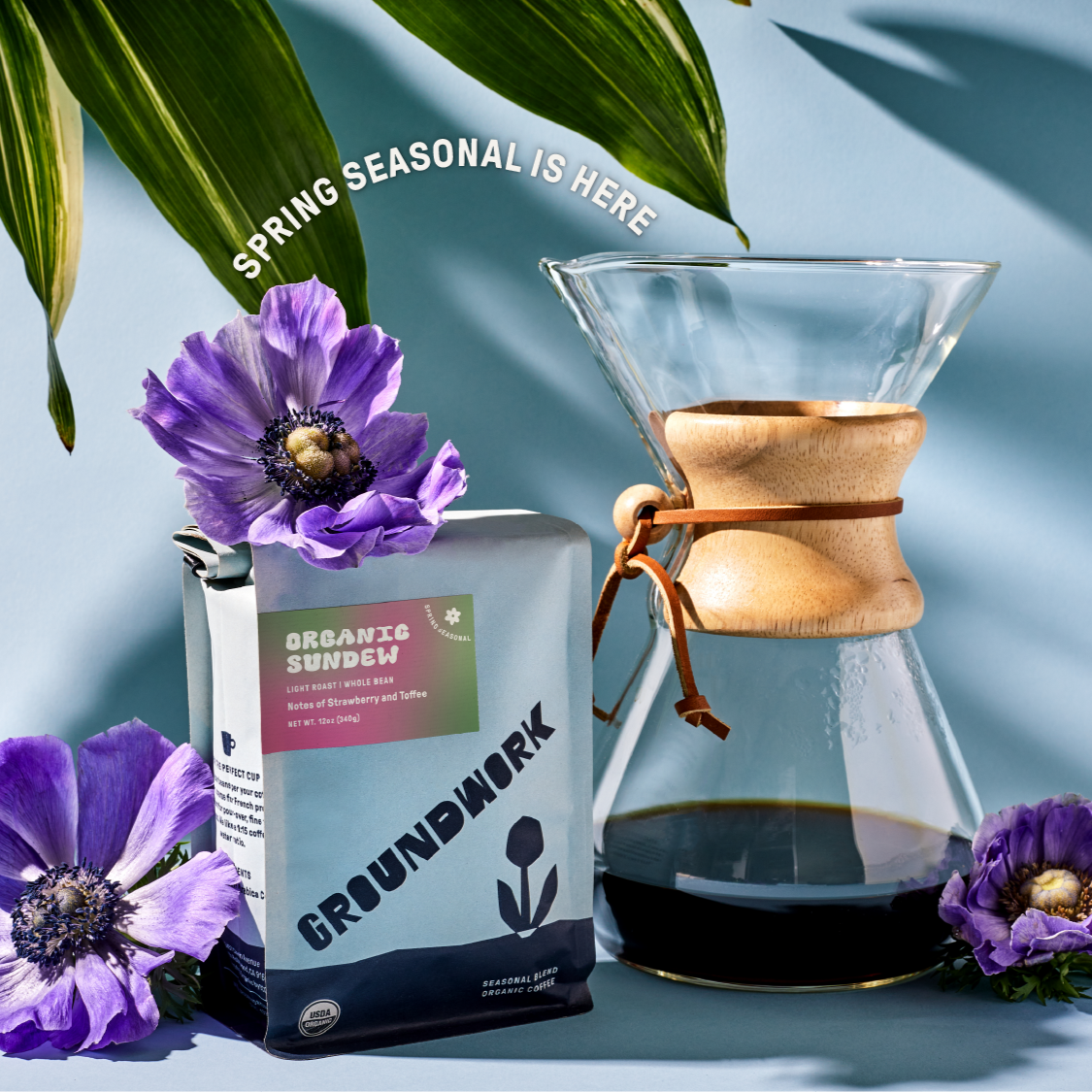 A bag of Groundwork Coffee Seasonal Select: Sundew sits beside a Chemex and purple flowers, with SPRING SEASONAL IS HERE above on a pastel blue background.