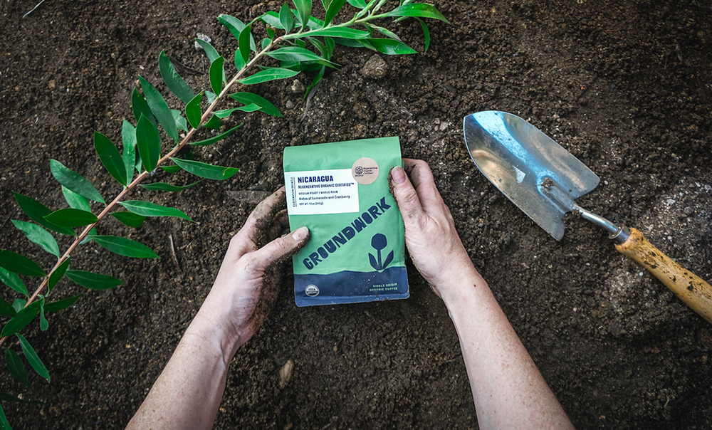 A person holds a bag of Groundwork coffee next to a green plant and a gardening trowel on soil.